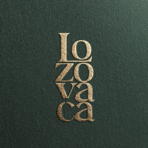 cover loza