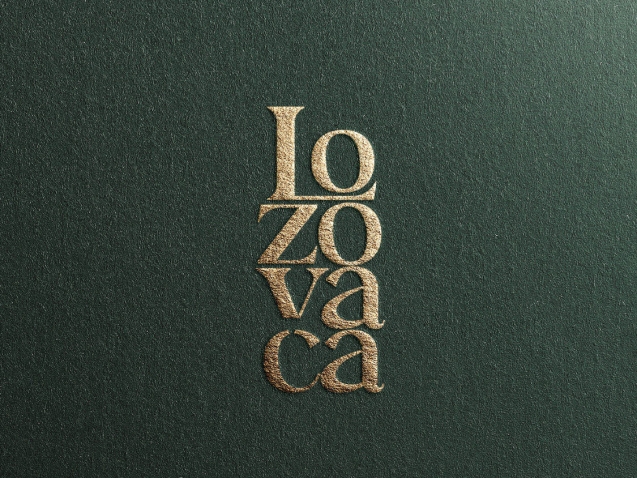 cover loza