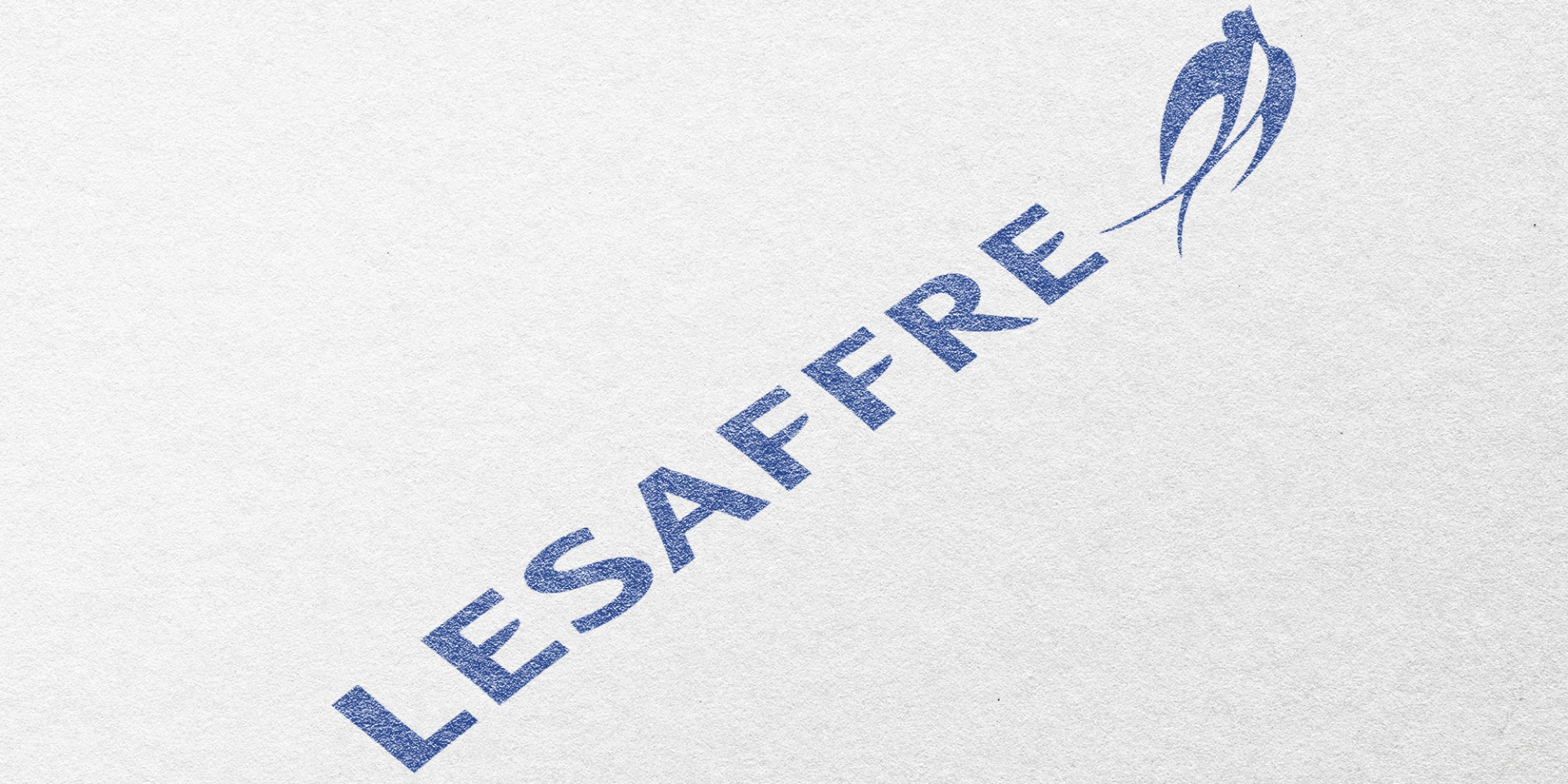 Logo mockup PSD paper, realistic minimal design
