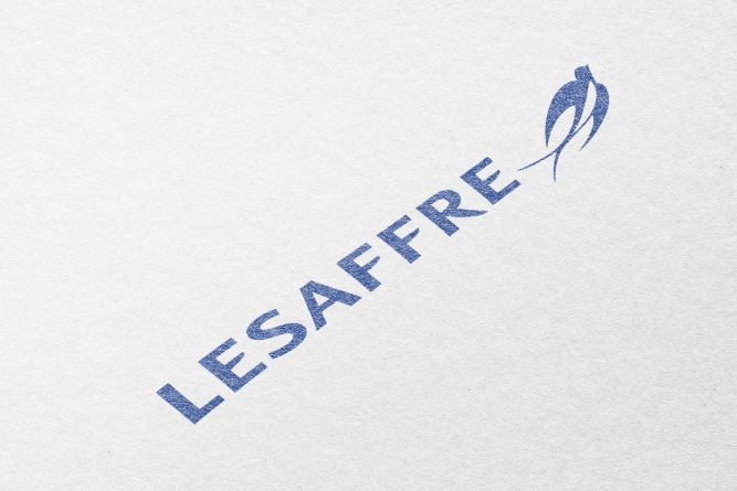 Logo mockup PSD paper, realistic minimal design